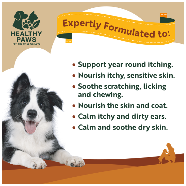 All Itch & Immunity - Image 2