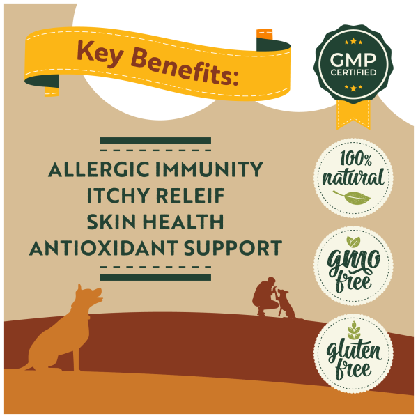 All Itch & Immunity - Image 3