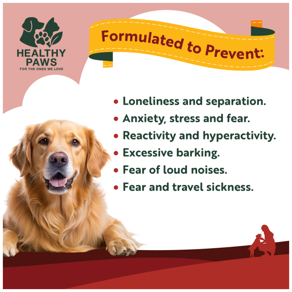Calming Soft Chews - Image 2