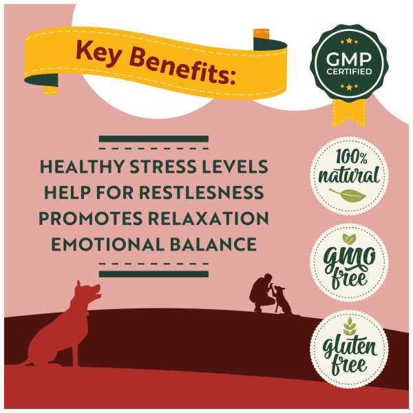 Calming Soft Chews - Image 4