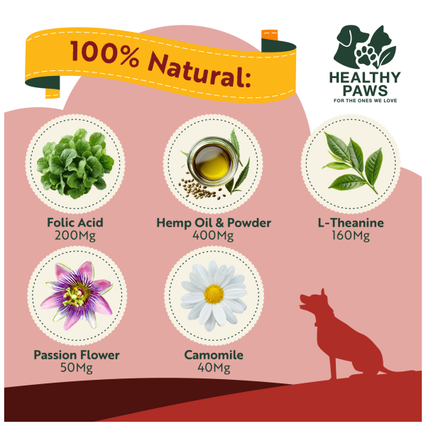 Calming Soft Chews - Image 3