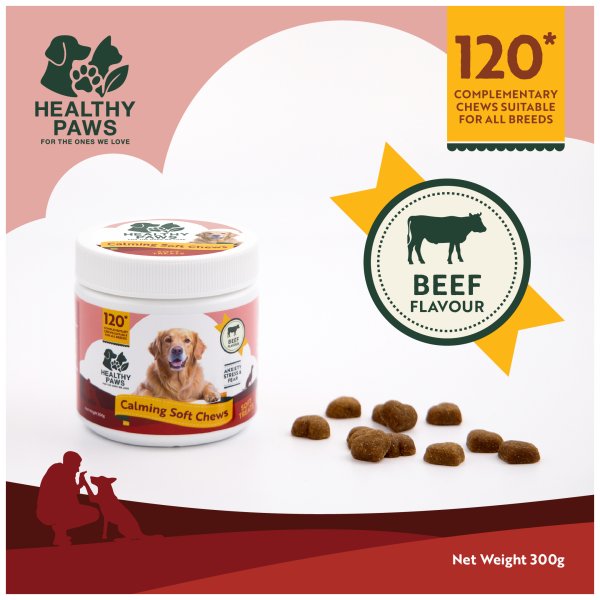 Calming Soft Chews - Image 6